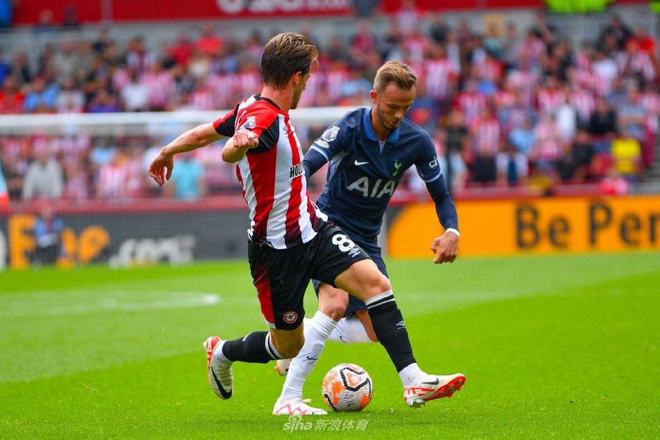 字母哥的选 字母哥的选