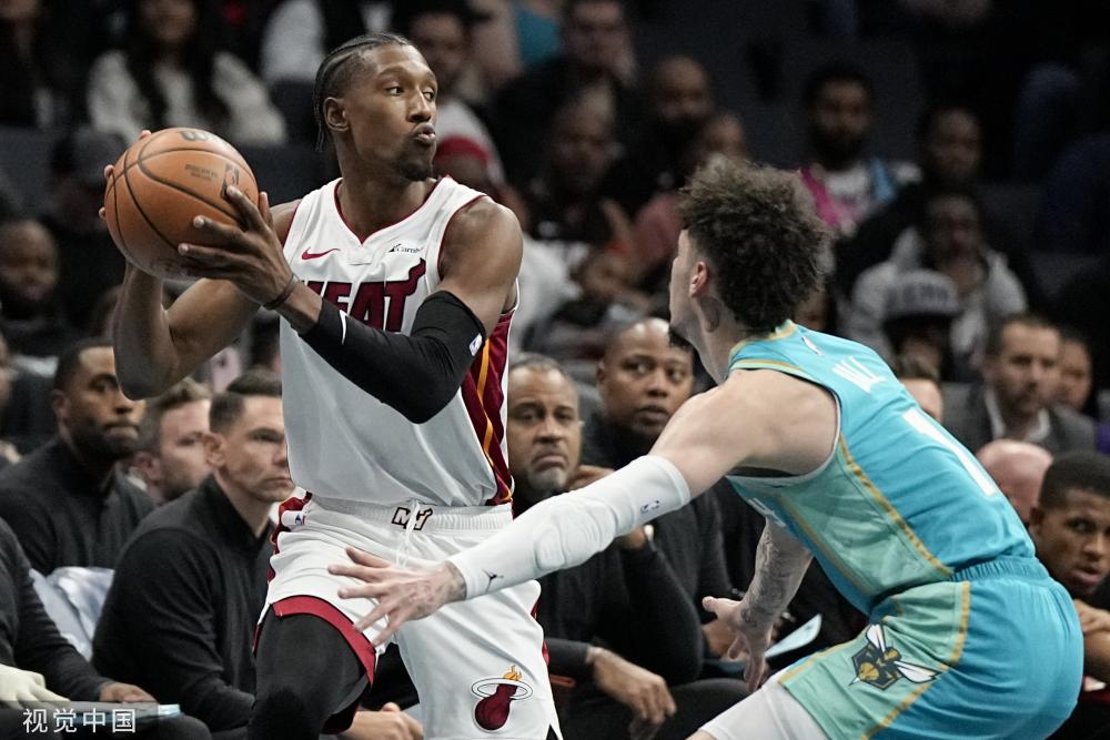 在内的一些 在内的一些