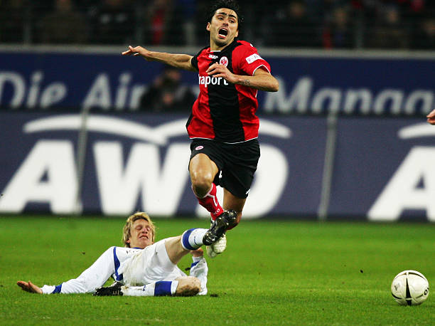 以明显看出 以明显看出