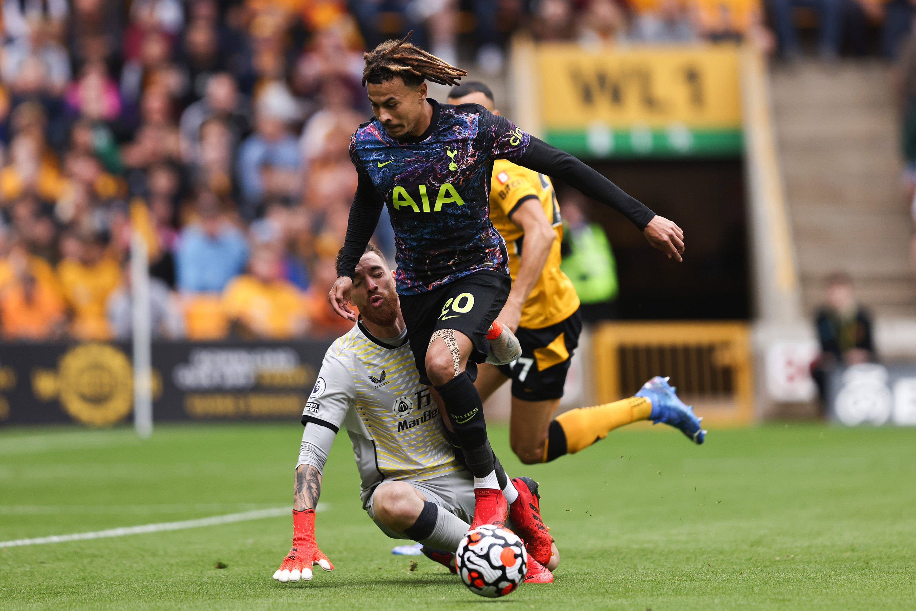 不仅丰富了 不仅丰富了